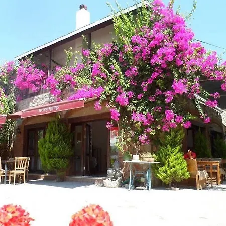 Πανσιόν Second Spring