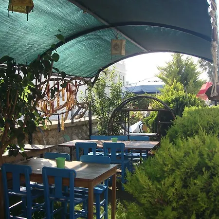 Second Spring בית הארחה