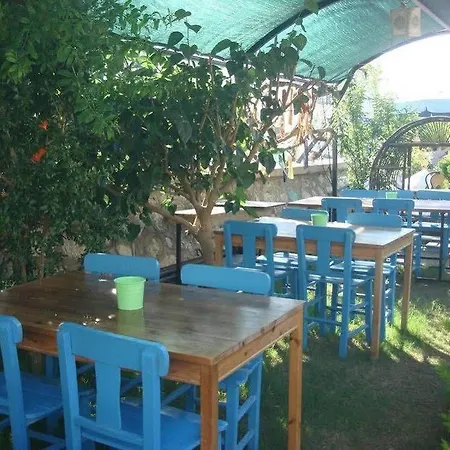 Second Spring בית הארחה